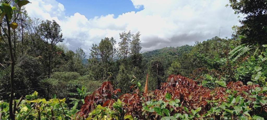 Westernghats Homestay Мадикери Екстериор снимка